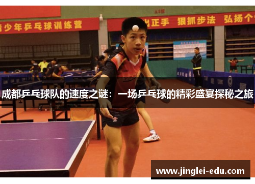 成都乒乓球队的速度之谜：一场乒乓球的精彩盛宴探秘之旅
